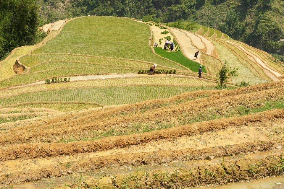 Sapa Hard Trekking Villages and Homestay 2 Days 1 Night Trip - Common questions