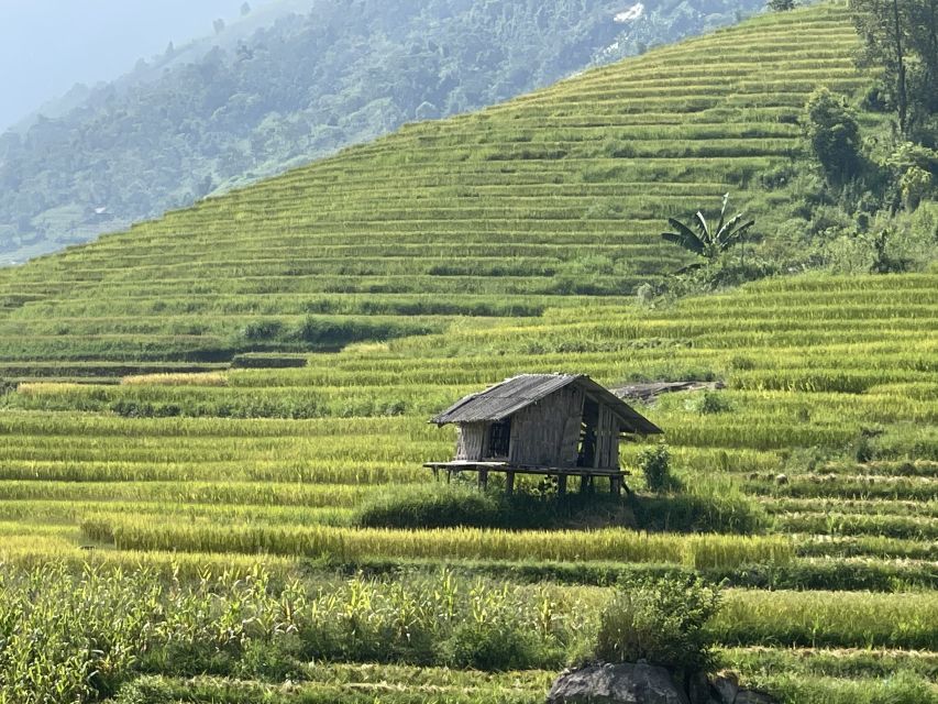 Sapa: Private Muong Hoa Valley and Homestay Trekking 2-Day - Local Experiences