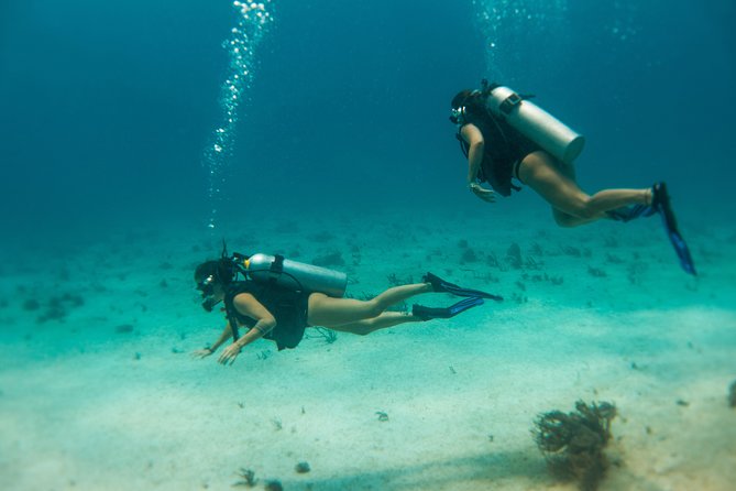 Scuba Diving in Cozumel Island - Common questions