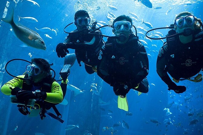 Scuba Diving in Fujairah With Private Transfers - Traveler Photos Access