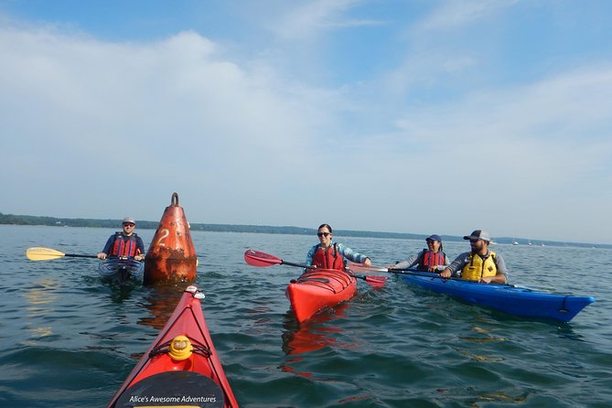 Sea Kayak to an Island Tour in Casco Bay - Reviews and Support