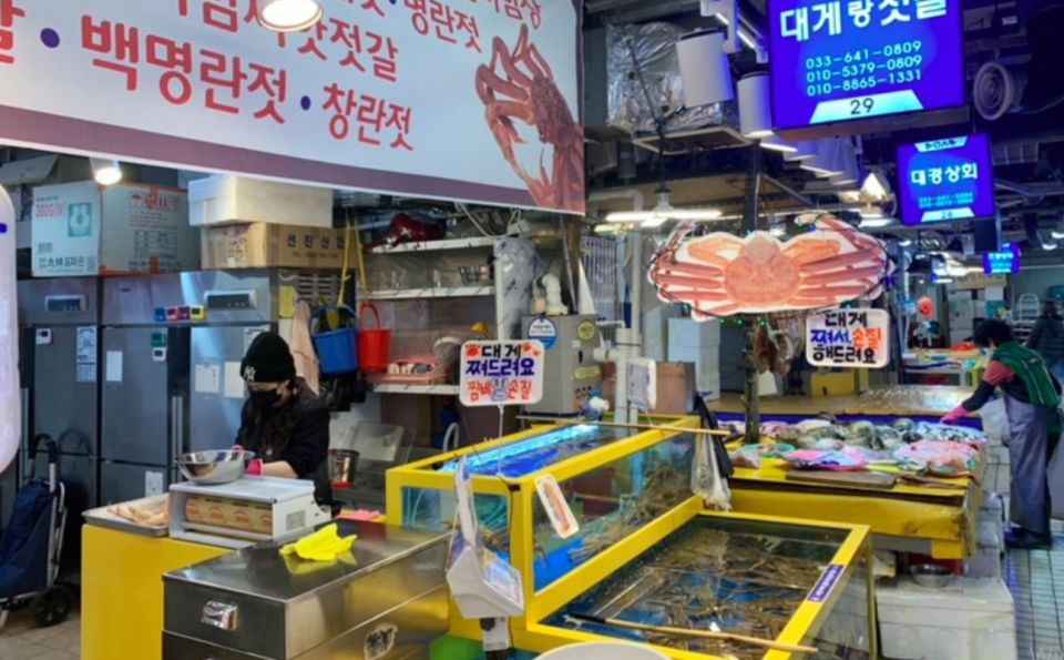 Seoul: Gangneung Delights From BTS Bus Stop to Anmok Beach - Important Information