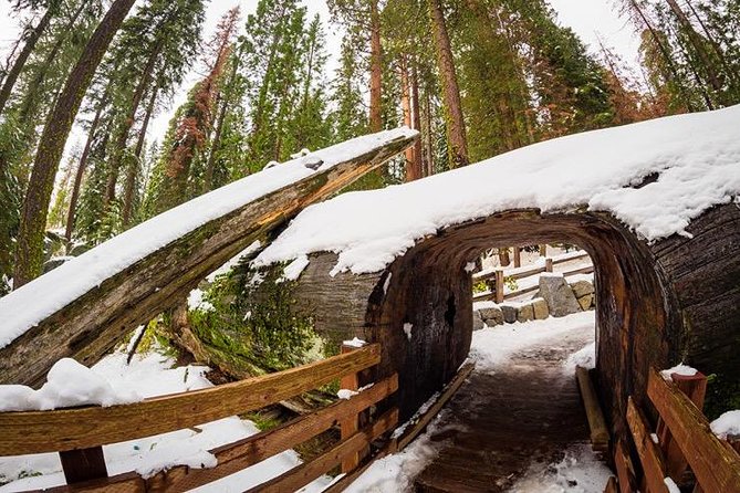 Sequoia National Park Adventure From Tulare - Last Words