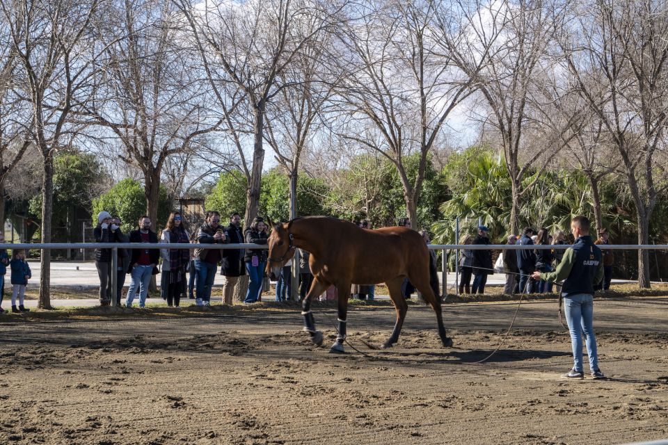 Seville: Horse Show Entry Ticket. Optional Stud Farm Visit - Provider Information