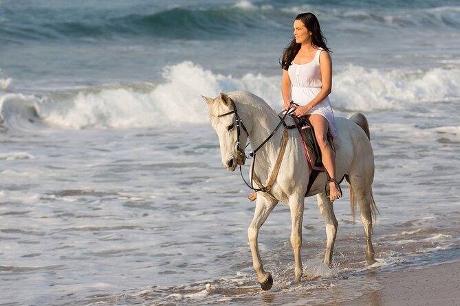 Side Horse Riding On Beach And Through The Forests For 2 Hours - Customer Support