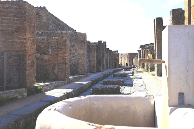 Skip-The-Line Pompeii and Amalfi Coast Shore Excursion From Salerno Cruise Port - Priority Access to Pompeii