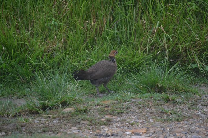 Small-Group 3-Day Safari, Chitwan National Park From Kathmandu - Common questions