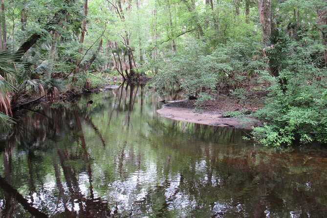 Small Group Blackwater Creek Scenic River Kayak Tour With Lunch - Guide and Lunch Details