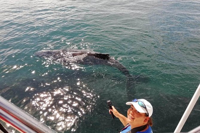 Small-Group Half-Day Whale-Watching Tour in Puerto Vallarta - Highlights