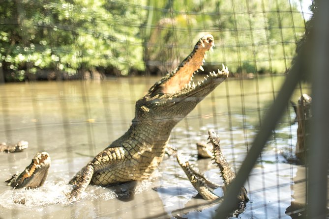 Small-Group Tour to Can Gio Vam Sat Mangrove Forest - Common questions