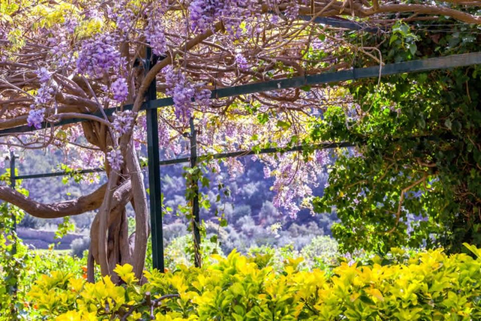 Sóller: Alfabia Gardens Entrance Ticket - Last Words