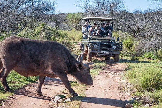 South African Bush Safari in Oudtshoorn  - Western Cape - Accessibility and Travel Information