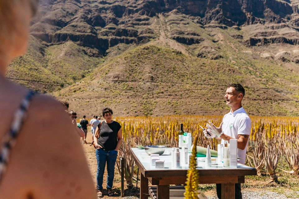 South Gran Canaria: Off-Road Valleys & Villages Jeep Tour - Review Summary