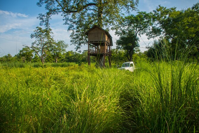 Spend a Night in a Tree House in Bardiya - Wildlife Encounters