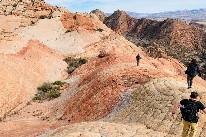 St. Geroge Small-Group Yant Flat Hike  - St George - Operational Details