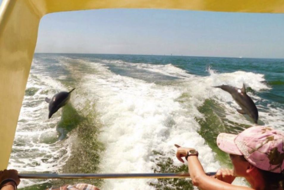 St. Pete Beach: Dolphin Racer Cruise by Speedboat - Location Details