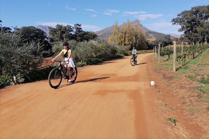 Stellenbosch Private E-Bike & Wine Tour - Contact and Support