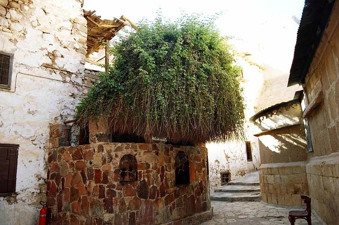 Sunrise at Mt.Sinai and St.Catherine Monastery. Entrance Included - Last Words