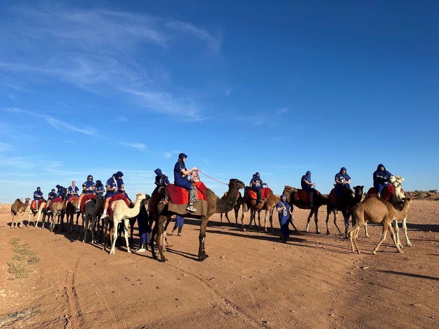 Sunset Camel Ride in Desert & Palm Grove With Tea & Transfer - Common questions