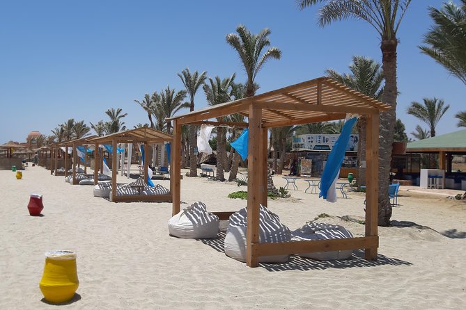 Swim Alongside Sea Turtles in Abu Dabbab, Marsa Alam  - Safaga - Booking Information