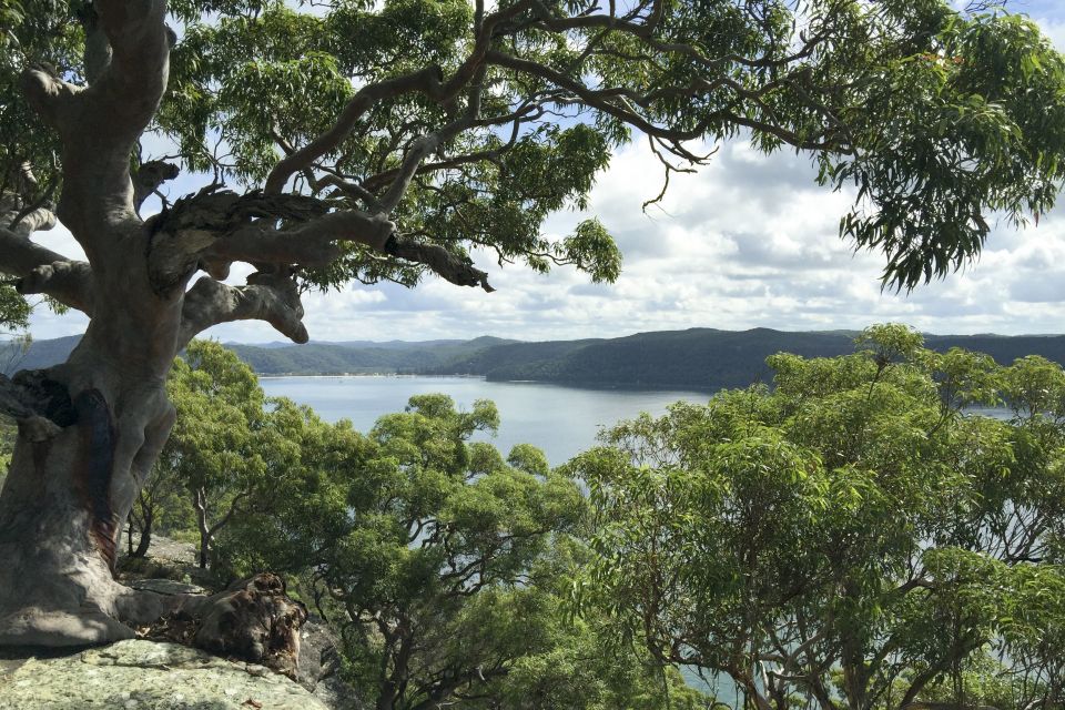 Sydney: Northern Beaches and Ku-ring-gai National Park Tour - Common questions