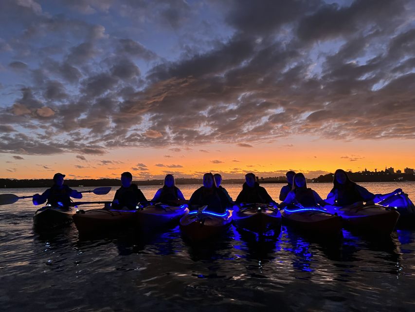 Sydney: Sunrise Kayak Tour on Sydney Harbour - Customer Reviews and Ratings