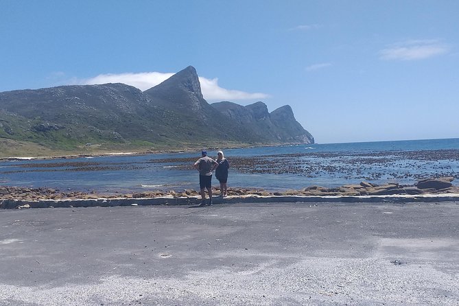 Table Mountain, Penguins, Cape of Good Hope and Stellenbosch Tour - Last Words