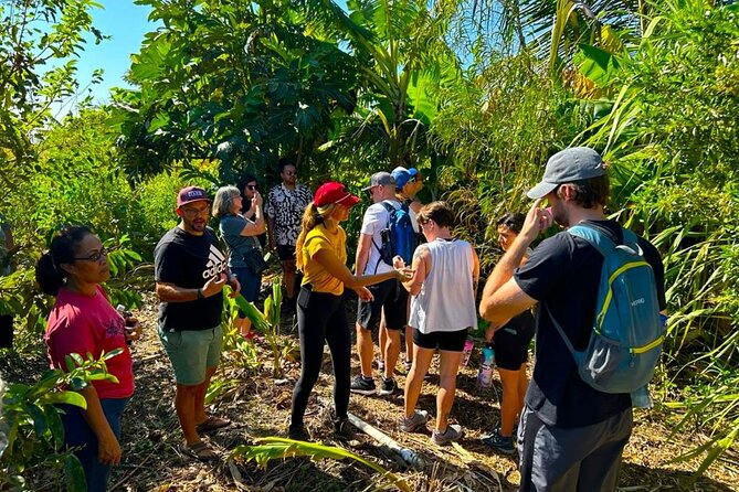 Taste of Hawaii: A Maui Farm Tour - Directions