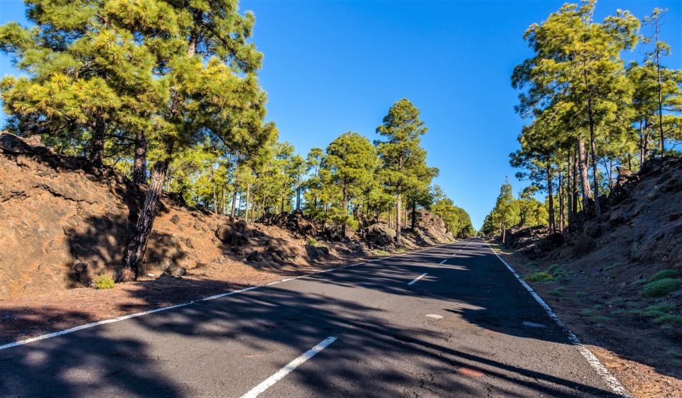 Teide: Guided Sunset and Stargazing Tour With Dinner - Directions