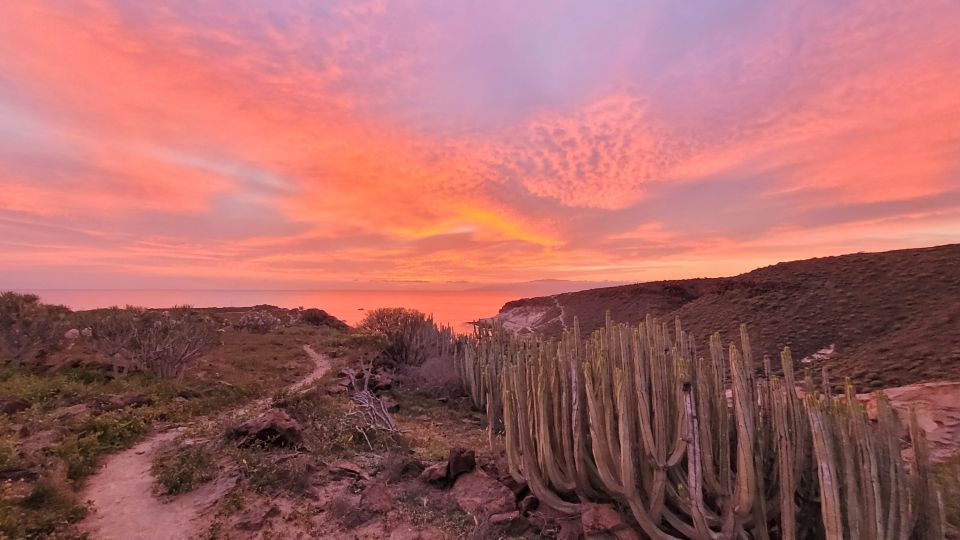 Tenerife: La Caleta Self-Guided Walking Tour - Tour Activities