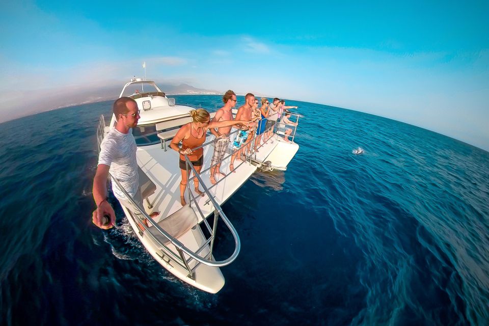 Tenerife: Marine-Life Tour With Transfer, Buffet and Drinks - Pricing and Booking Information