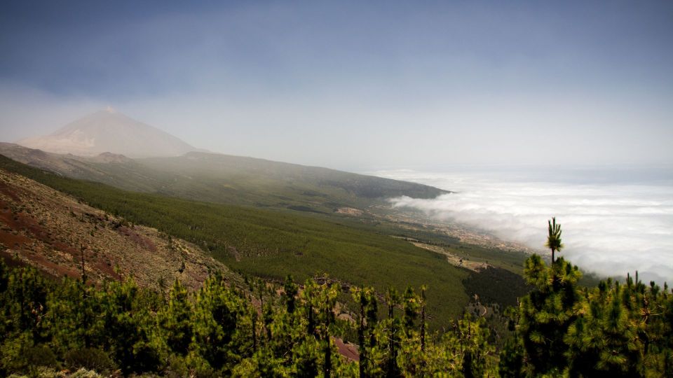 Tenerife: Teide National Park and Dolphins Sailboat Tour - Additional Information