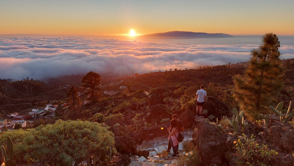 Tenerife: Teide National Park Sunset & Stargazing Tour - Transportation Information