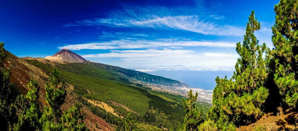 Tenerife: Teide National Park & Teno Rural Park Private Tour - Tour Directions