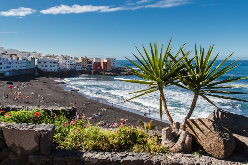 Tenerife: Trip to Puerto De La Cruz - Last Words