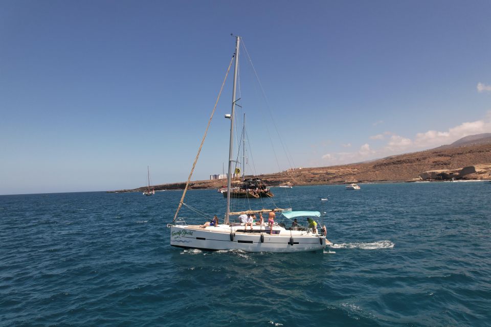 Tenerife: Whale Watching and Snorkeling Yacht Trip - Customer Reviews