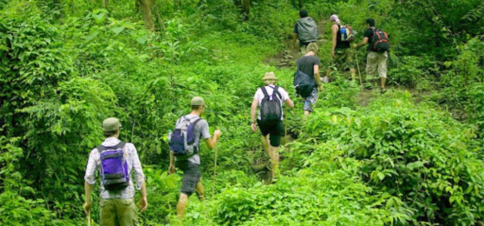 The Best Easy Trek Cuc Phuong National Park - Location and Details