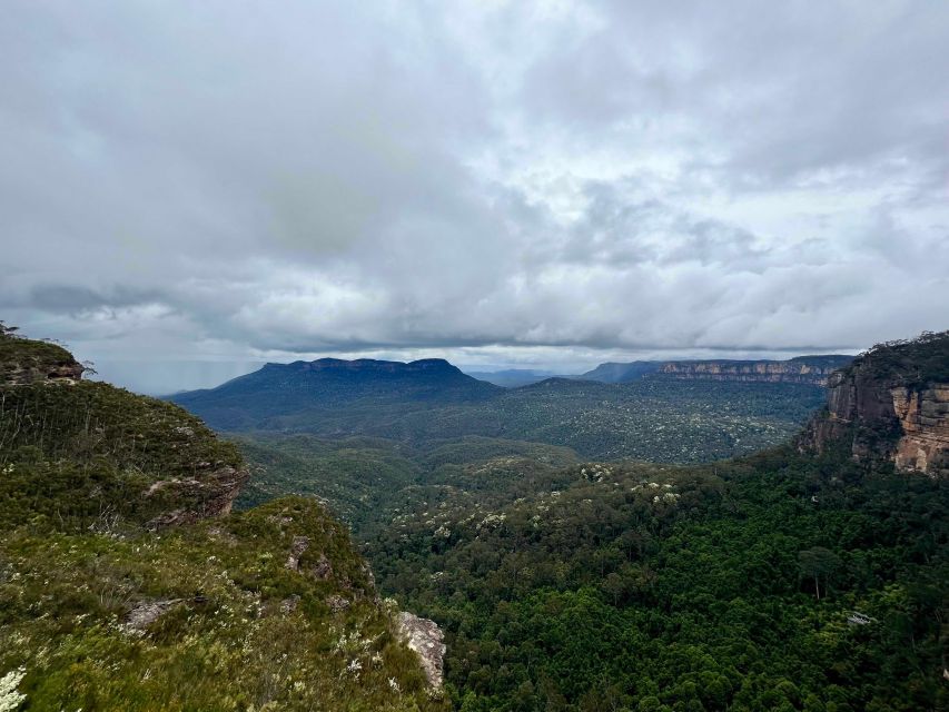 The Blue Mountains Small Group Insider Tour - Important Notes