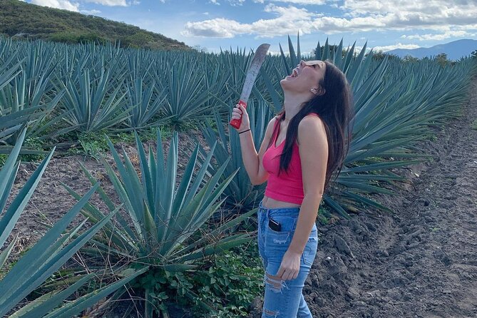 The Mezcal Journey - Mezcal Tasting Experience