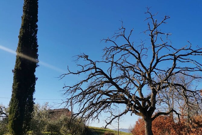 The Spell of Lake Trasimeno - Trekking Tour - Common questions