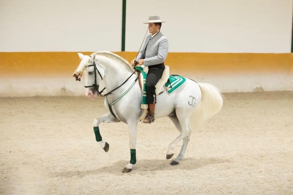 Torremolinos: Andalusian Horse Show With Flamenco Dance - Common questions