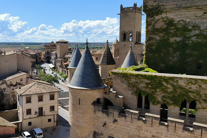 Tour of Olite and the Royal Castle. - Pricing Details
