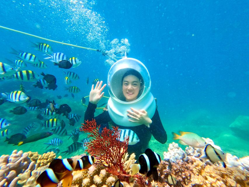 Tour Sea-Walking Nha Trang - Underwater Experience Information