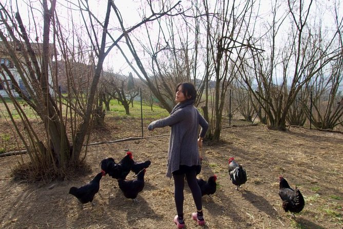 Traditional Italian Cooking Class on a Sustainable Farm Using Foraged Wild Herbs - Cancellation Policy and Reviews