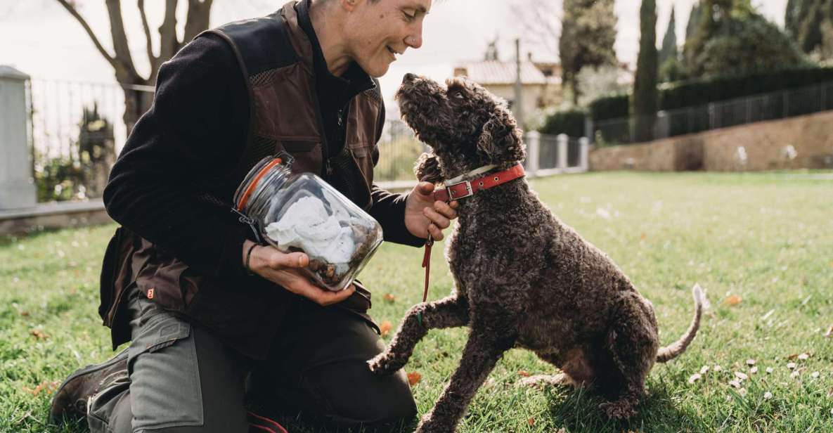 Truffle Hunt in Chianti and Cooking Class With Sunset Dinner - Important Reminders