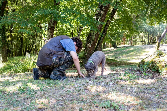 Truffle Hunting & Truffle Cooking Class - Common questions
