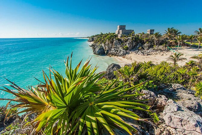TULUM, CENOTE, MYSTIKA MUSEUM, TURTLES SNORKELING (Private) - Language Options and Cancellation Policy