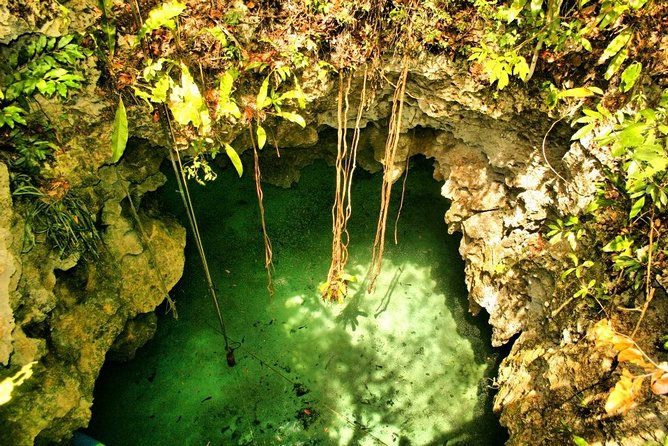 Tulum Ruins & Cenote Guided Private Tour From Tulum and Riviera Maya. - Common questions