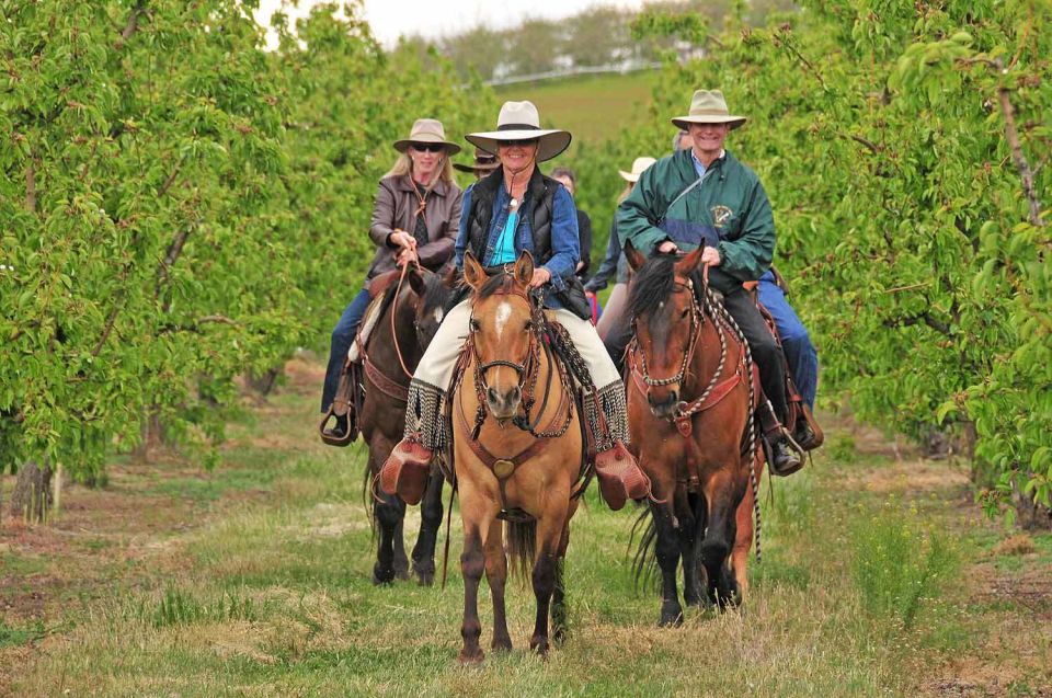Tuscany: Horseback Riding Adventure With Lunch in a Winery - Price