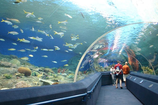 Underwater World at Pattaya Admission Ticket With Return Transfer - Last Words